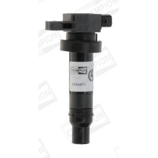 Ritė, uždegimas CHAMPION BAEA474
