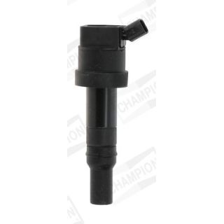 Ritė, uždegimas CHAMPION BAEA476