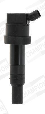 Ritė, uždegimas CHAMPION BAEA476