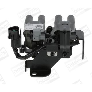 Ritė, uždegimas CHAMPION BAEA477