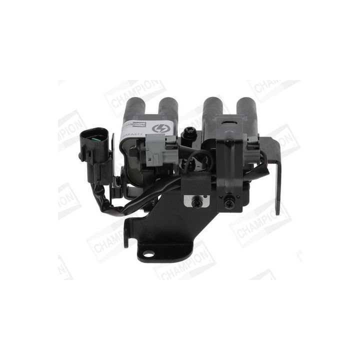 Ritė, uždegimas CHAMPION BAEA477