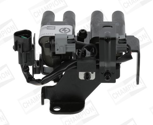 Ritė, uždegimas CHAMPION BAEA477