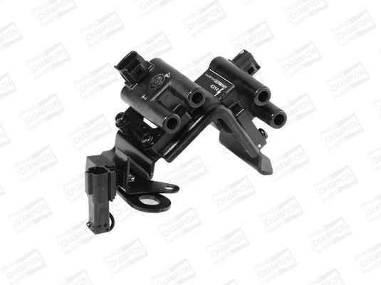 Ritė, uždegimas CHAMPION BAEA479