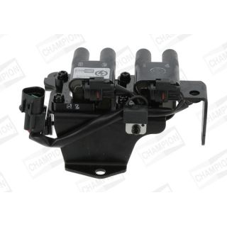 Ritė, uždegimas CHAMPION BAEA480