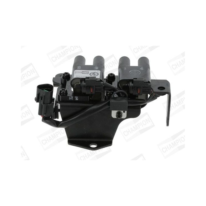 Ritė, uždegimas CHAMPION BAEA480