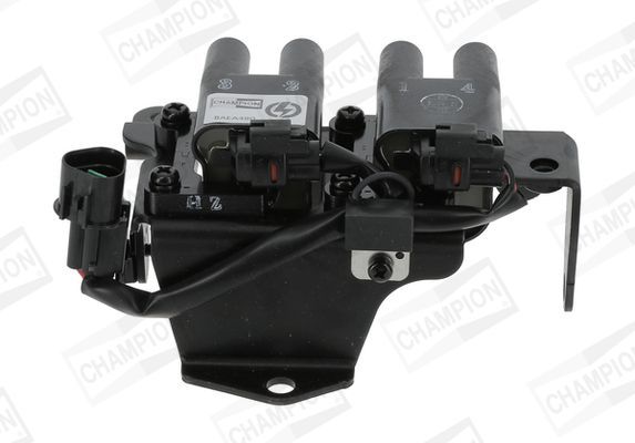 Ritė, uždegimas CHAMPION BAEA480