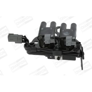 Ritė, uždegimas CHAMPION BAEA482