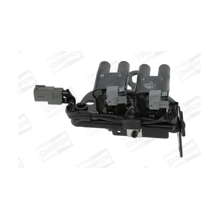 Ritė, uždegimas CHAMPION BAEA482