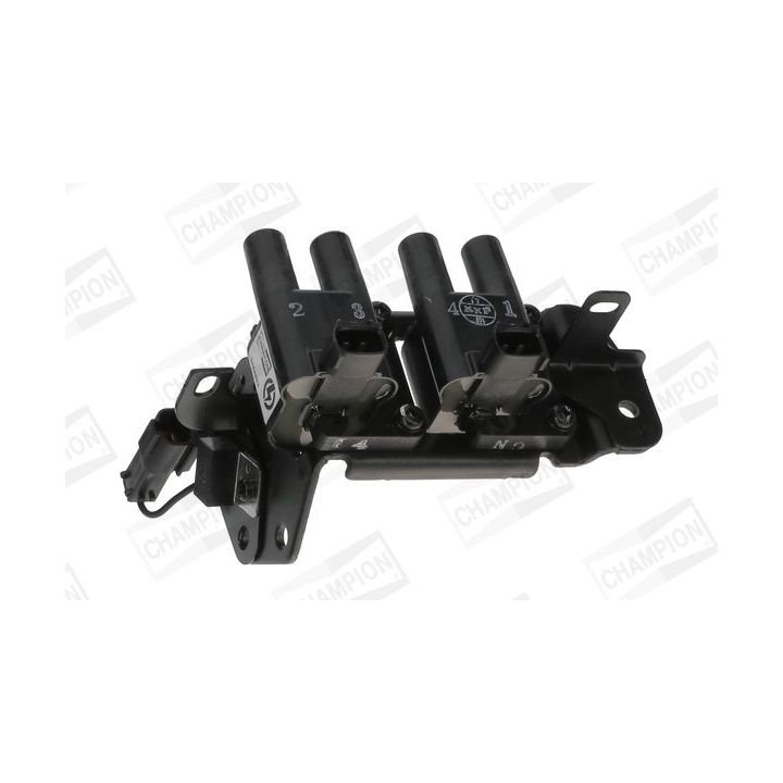 Ritė, uždegimas CHAMPION BAEA483