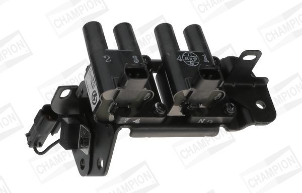 Ritė, uždegimas CHAMPION BAEA483