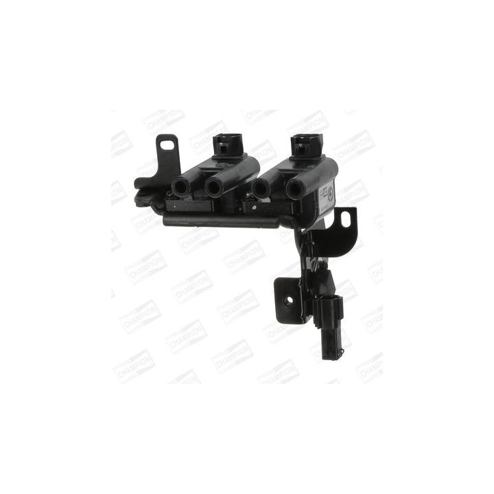 Ritė, uždegimas CHAMPION BAEA483