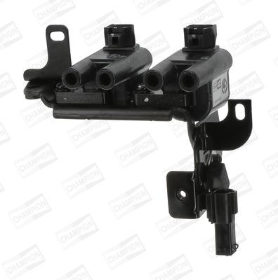 Ritė, uždegimas CHAMPION BAEA483