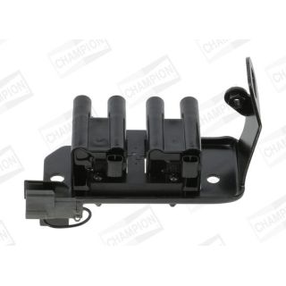 Ritė, uždegimas CHAMPION BAEA486