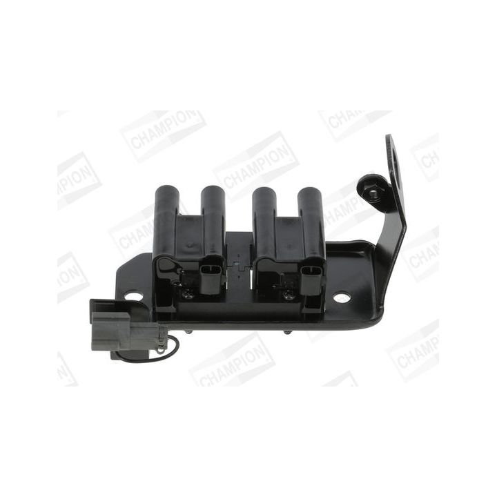 Ritė, uždegimas CHAMPION BAEA486