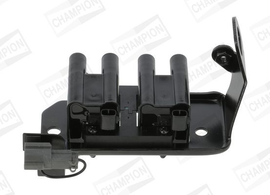 Ritė, uždegimas CHAMPION BAEA486