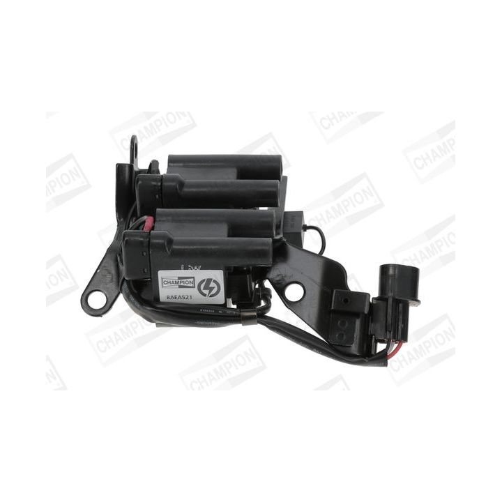 Ritė, uždegimas CHAMPION BAEA521