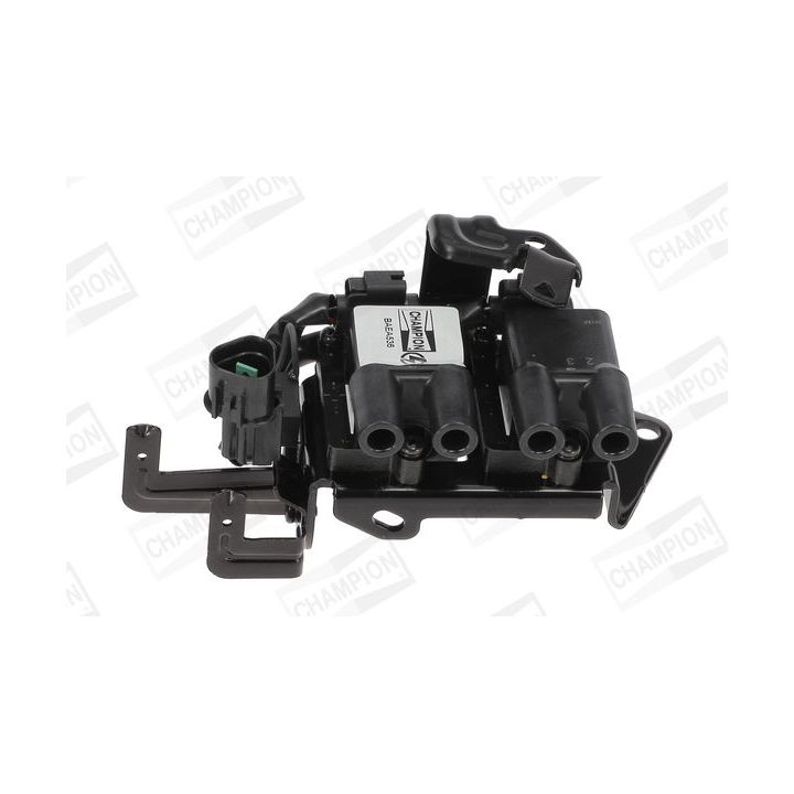 Ritė, uždegimas CHAMPION BAEA536