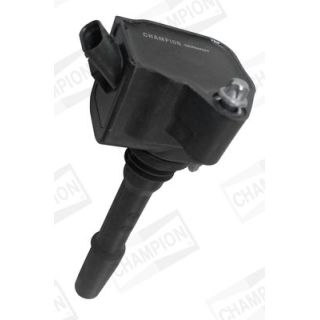 Ritė, uždegimas CHAMPION BAEA538