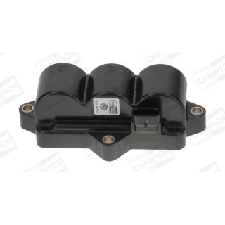 Ritė, uždegimas CHAMPION BAEA539