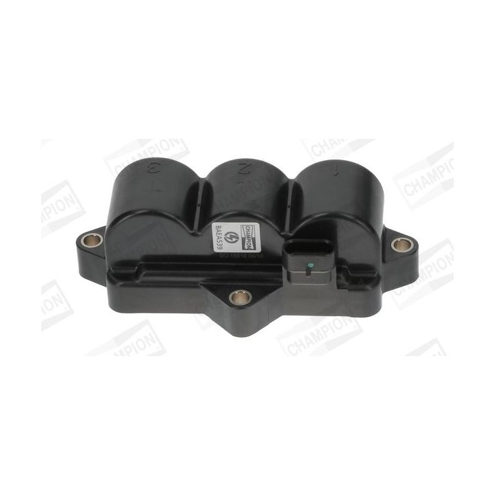 Ritė, uždegimas CHAMPION BAEA539