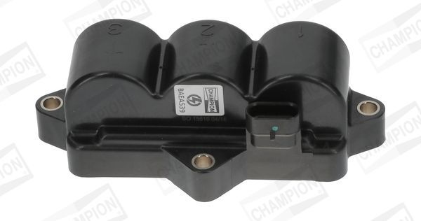 Ritė, uždegimas CHAMPION BAEA539