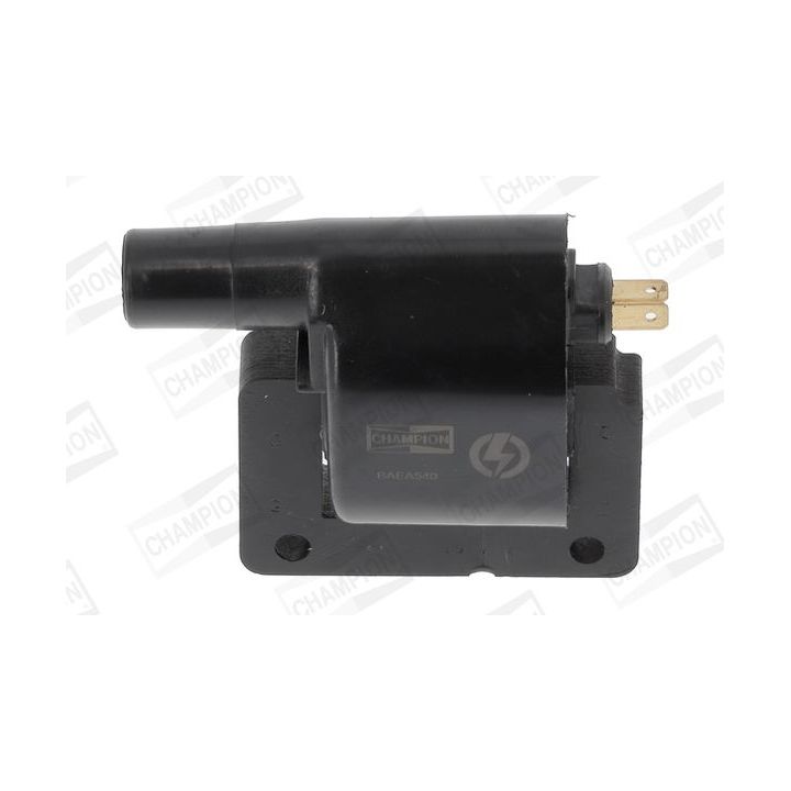 Ritė, uždegimas CHAMPION BAEA540