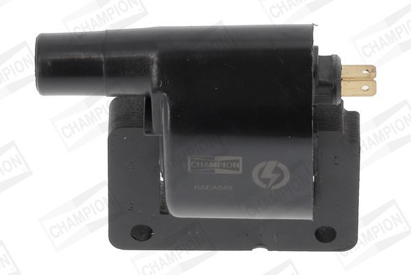Ritė, uždegimas CHAMPION BAEA540