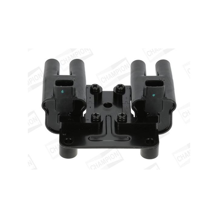 Ritė, uždegimas CHAMPION BAEA543