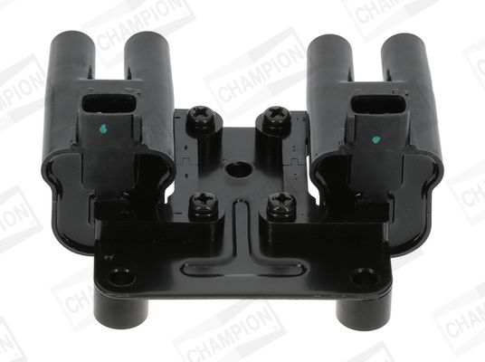 Ritė, uždegimas CHAMPION BAEA543