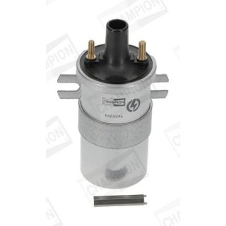 Ritė, uždegimas CHAMPION BAEA546