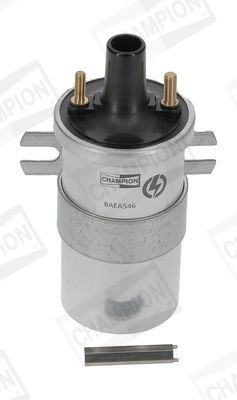 Ritė, uždegimas CHAMPION BAEA546