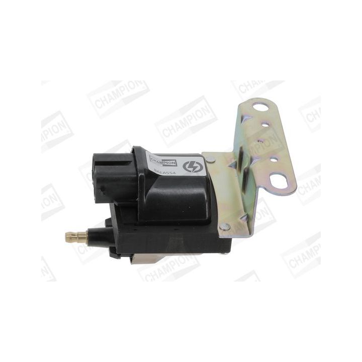 Ritė, uždegimas CHAMPION BAEA554