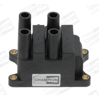 Ritė, uždegimas CHAMPION BAEA556