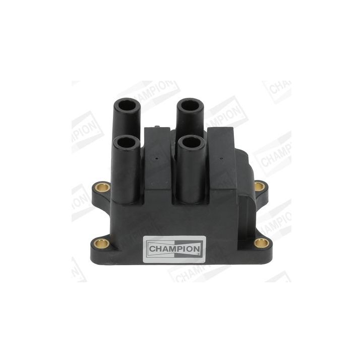 Ritė, uždegimas CHAMPION BAEA556