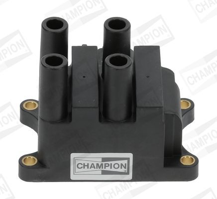 Ritė, uždegimas CHAMPION BAEA556