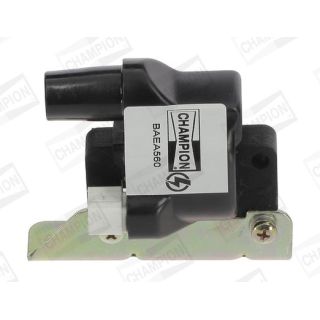 Ritė, uždegimas CHAMPION BAEA560