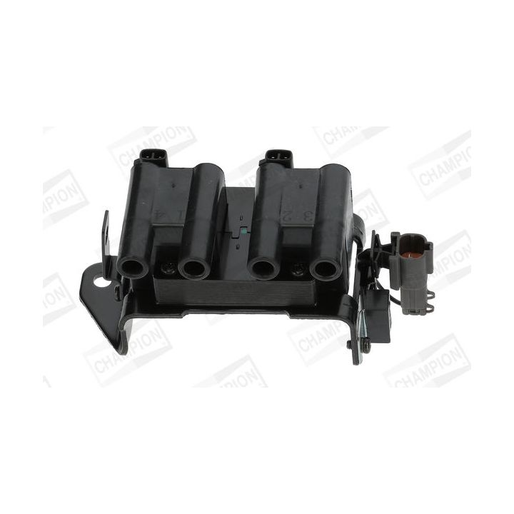 Ritė, uždegimas CHAMPION BAEA561