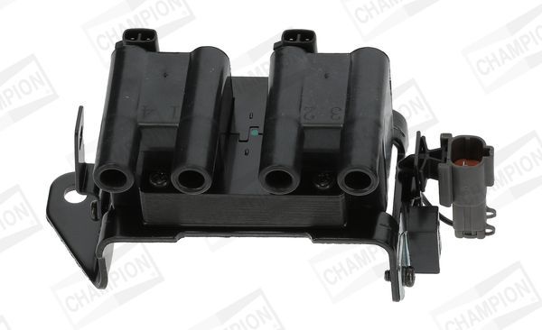 Ritė, uždegimas CHAMPION BAEA561