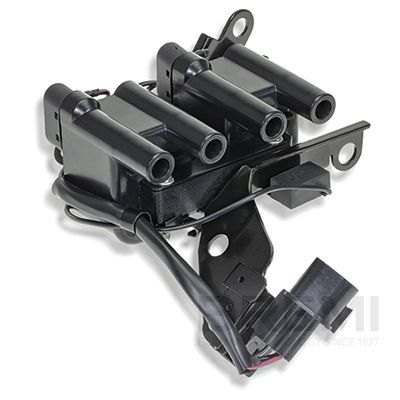 Ritė, uždegimas BREMI 20757