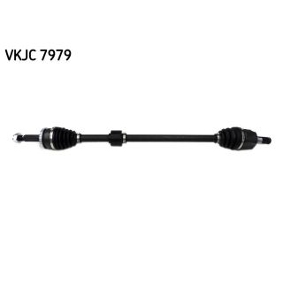 Pusašis SKF VKJC 7979
