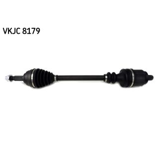 Pusašis SKF VKJC 8179