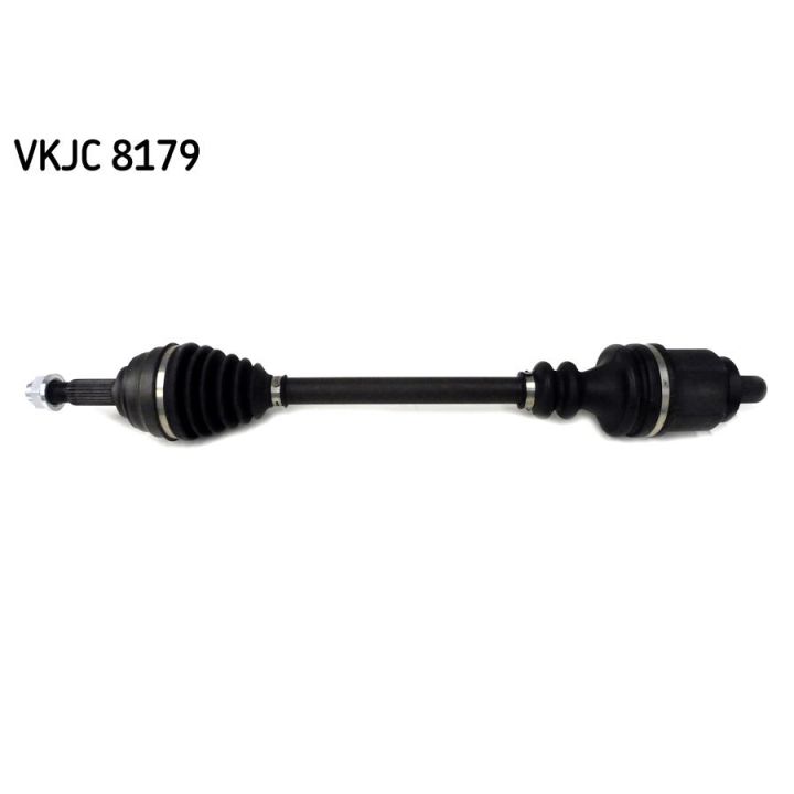 Pusašis SKF VKJC 8179