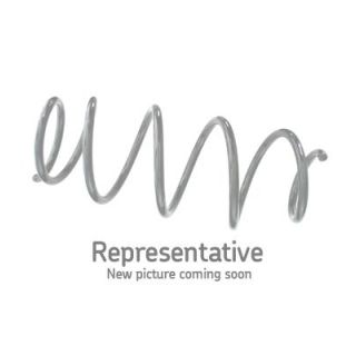 Spyruoklė SKF VKDL 85218