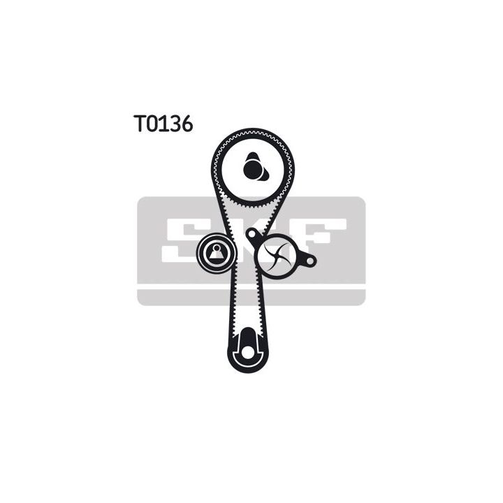 Vandens siurblio ir paskirstymo diržo komplektas SKF VKMC 06010