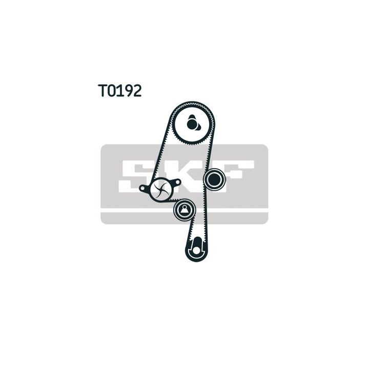 Vandens siurblio ir paskirstymo diržo komplektas SKF VKMC 06220