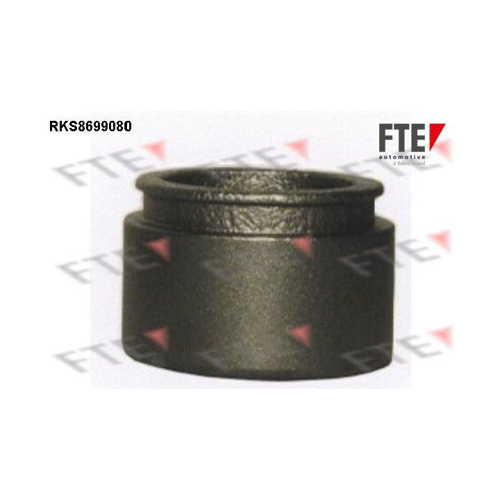 Stūmoklis, stabdžių apkaba FTE RKS8699080