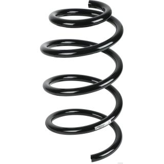 Spyruoklė HERTH+BUSS JAKOPARTS J4401027