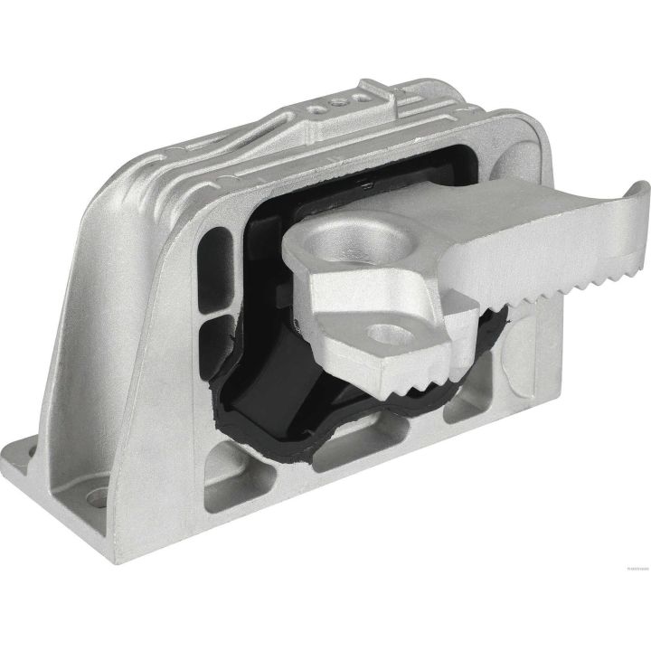 Variklio montavimas HERTH+BUSS JAKOPARTS J1791038