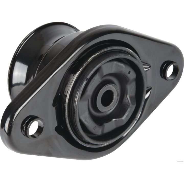 Pakabos statramsčio atraminis guolis HERTH+BUSS JAKOPARTS J4420301