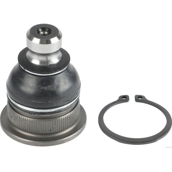 Šarnyras / girgždukas HERTH+BUSS JAKOPARTS J4860816